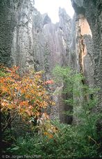 China (1 von 257).jpg